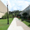 Campus lighting near UL's Dupre Library